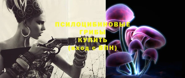 гашик Абаза