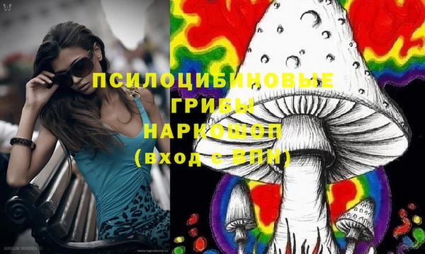 гашик Абаза