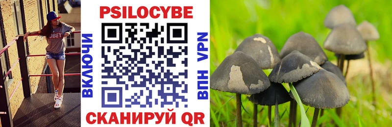Галлюциногенные грибы мухоморы  Невельск 